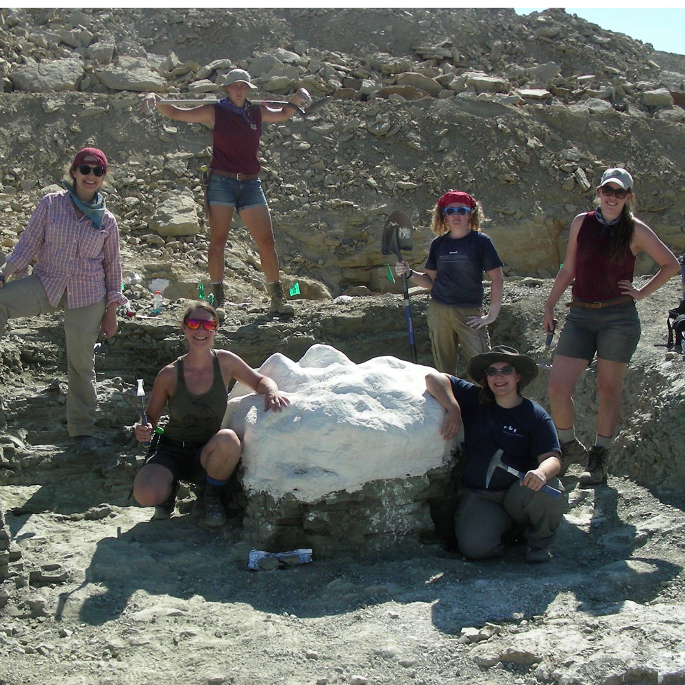Women from The Children's Museum of Indianapolis paleontology team standing around a large white field jacket at the Jurassic Mile dig site in Wyoming.
